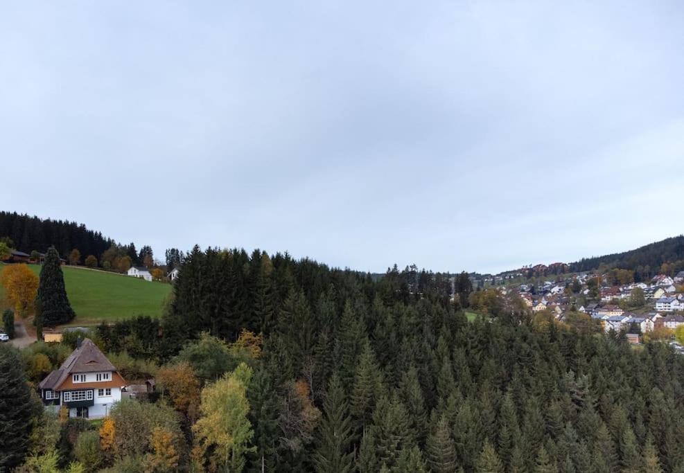 Exklusives Ferienhaus Am Waldrand Mit Whirlpool Und Sauna Villa Schonach im Schwarzwald Eksteriør billede